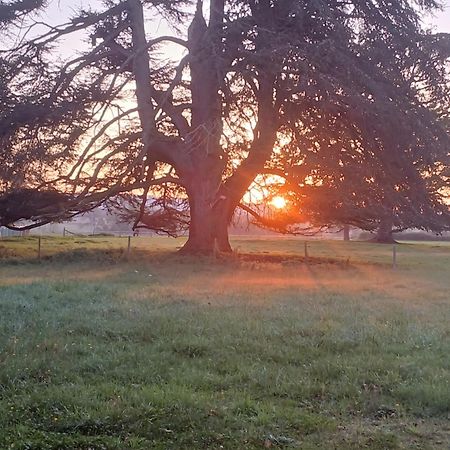Chateau De Maucouvent Challuy Dış mekan fotoğraf